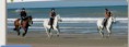/album/galerie-photos/chevaux-plage-jpg/